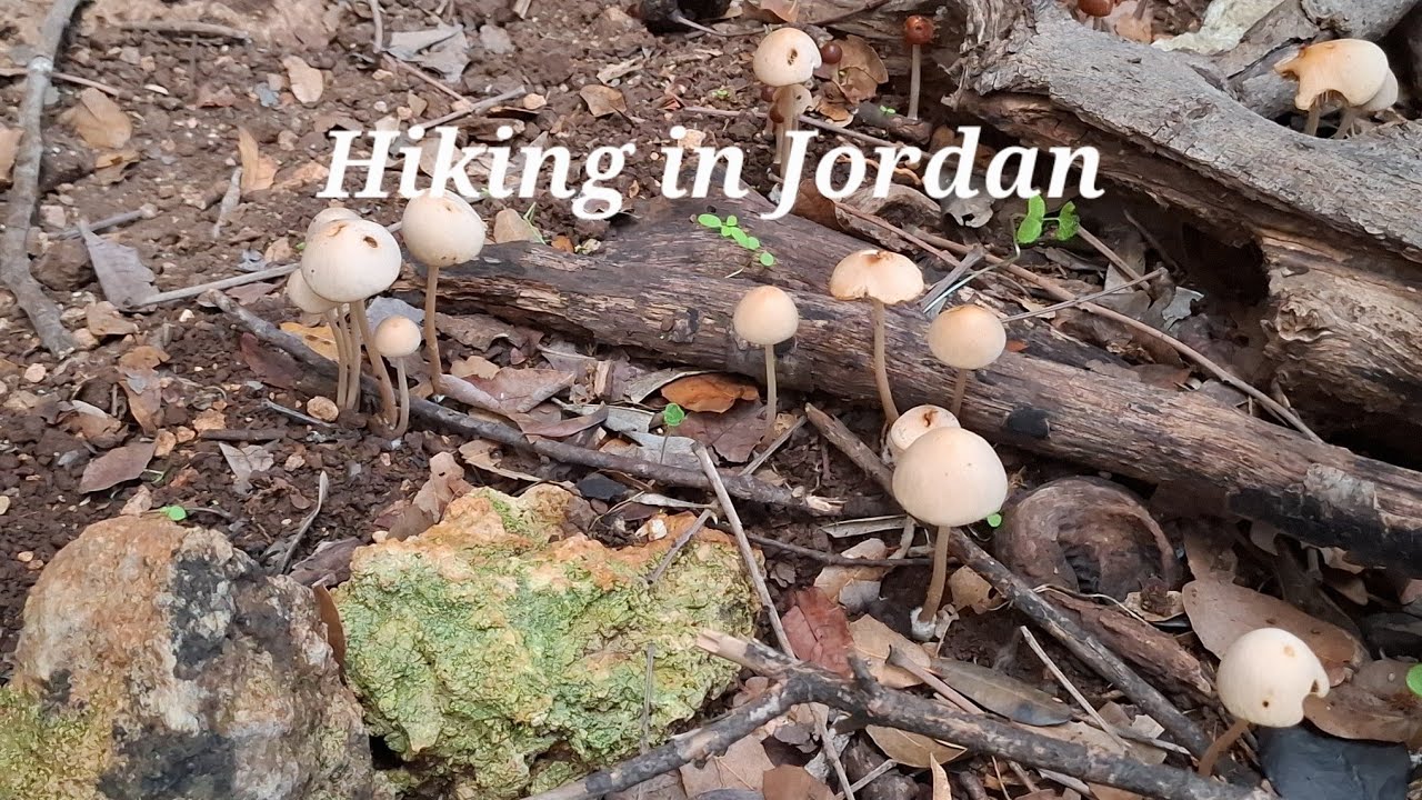Hiking in Jordan | from Deir Smadeiah