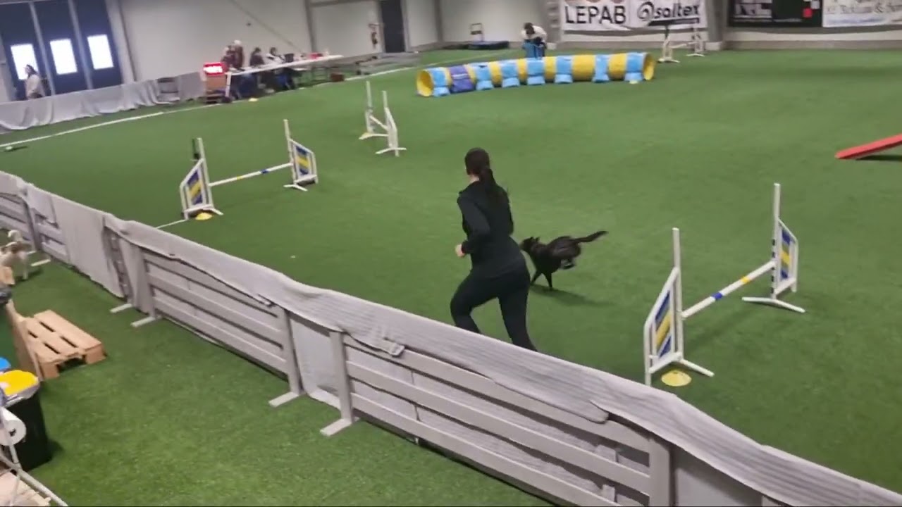 Hippo ag3 Gagnef-floda 31 januari 2026