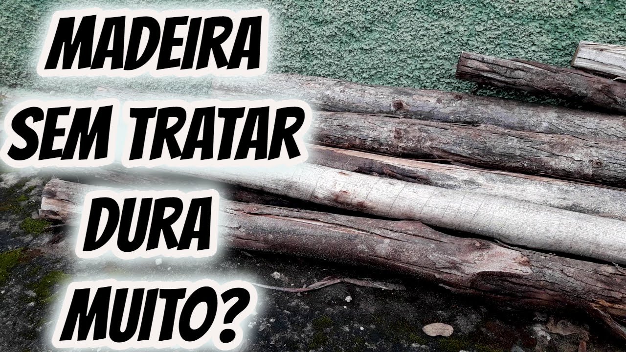 Quanto tempo quantos anos dura a madeira de eucalipto sem tratar? Qual durabilidade Sem tratamento