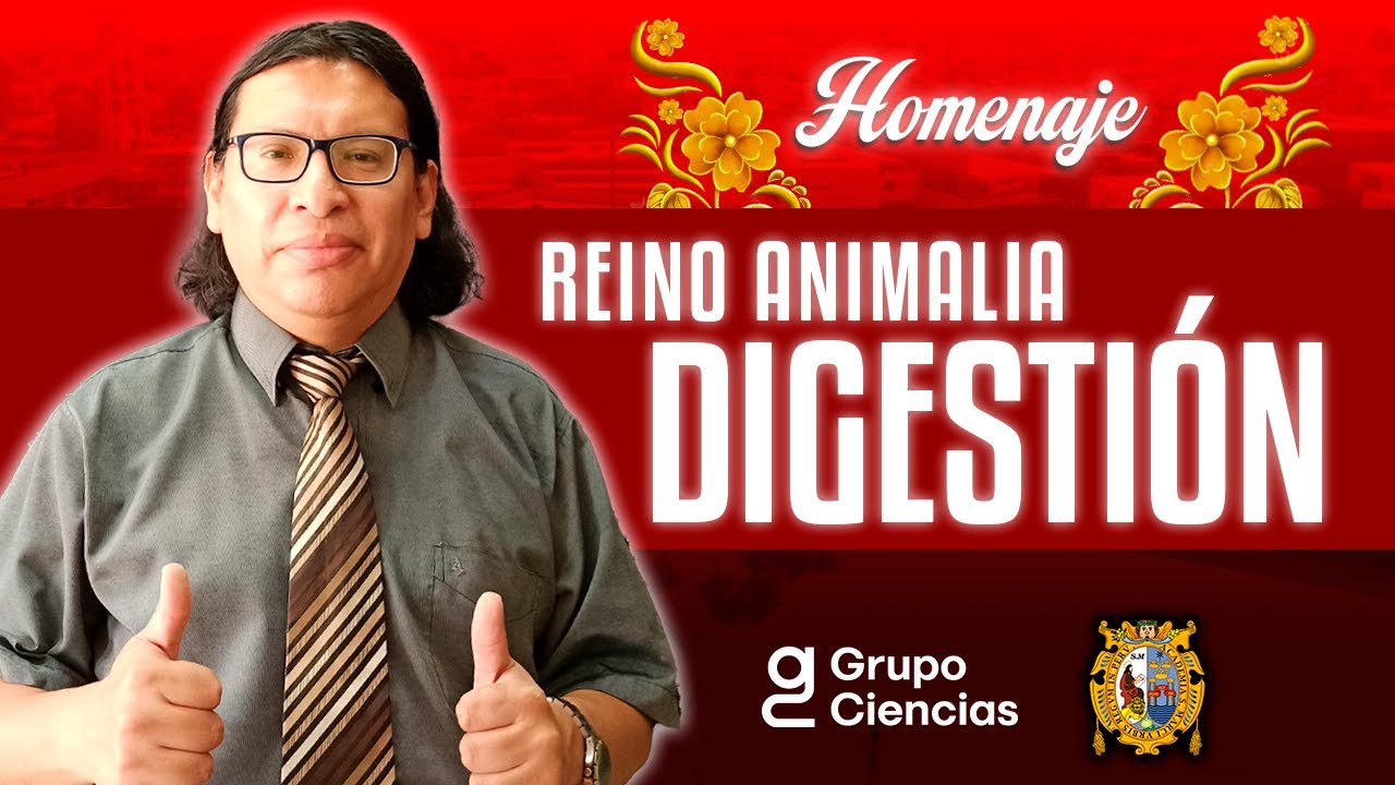 🦁Reino Animalia: Digestión | Biología [ Homenaje ]