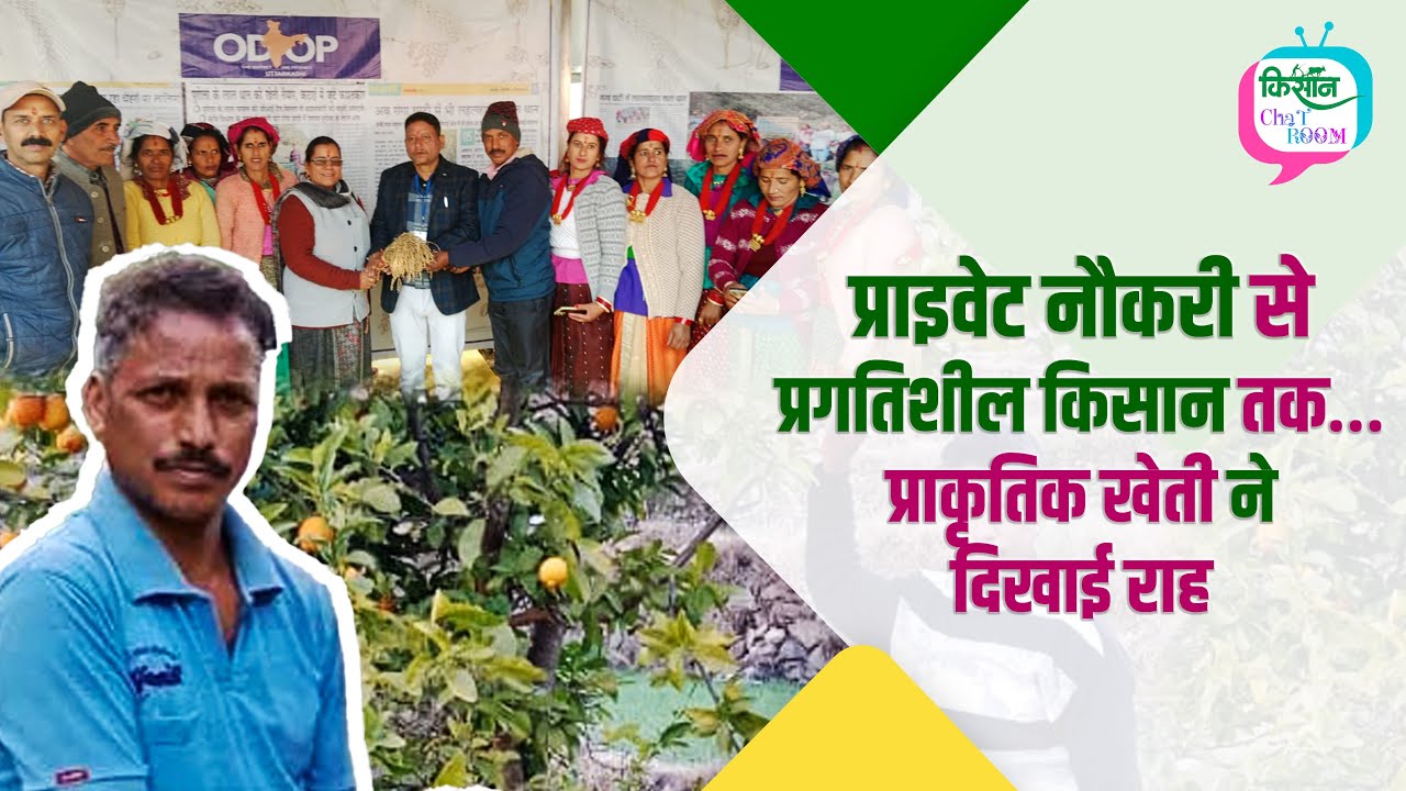 How to start Natural Farming? रमेश ने कैसे शुरू की Natural Farming? Live Show Kisan chatroom