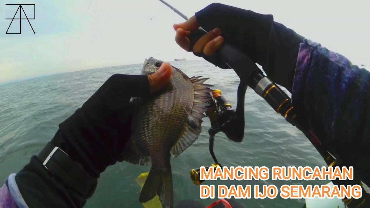 Cobain Mancing Runcah Di Dam Ijo Semarang ll Mancing Semarang