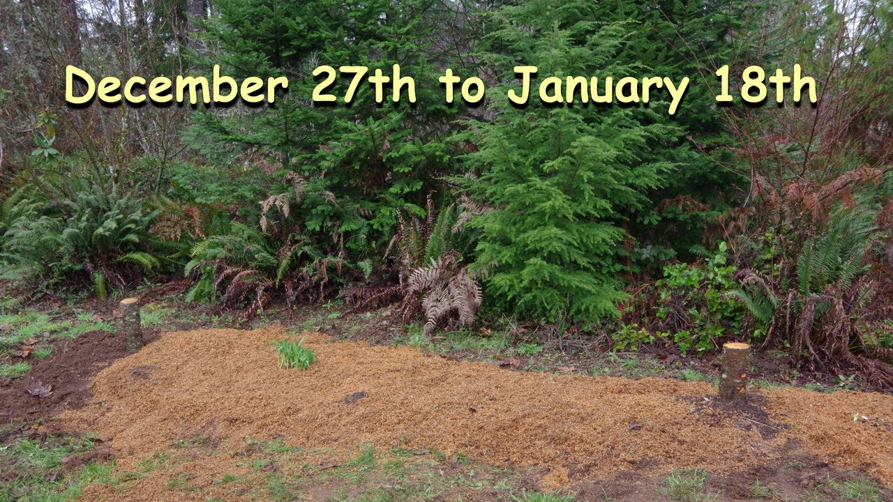 20251227 Trillium Springs Update