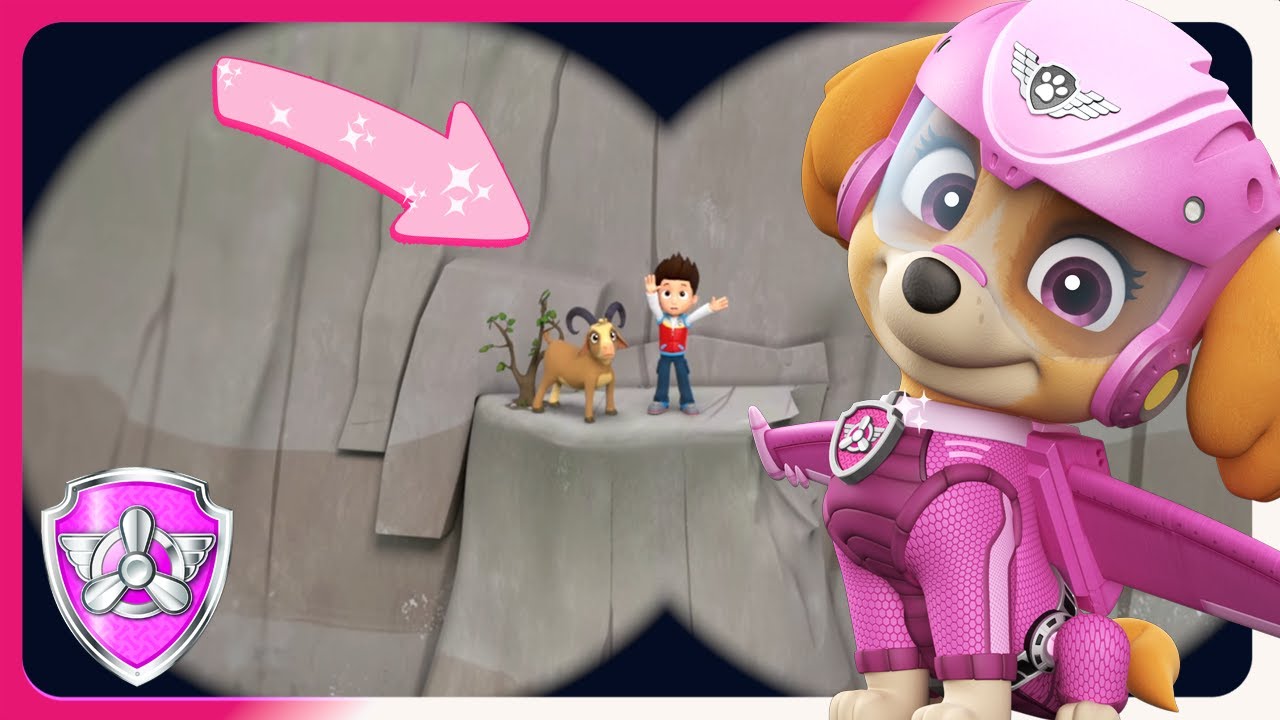 Skye and the Pups Save Ryder from his Failed Adventure | PAW Patrol - Skye | Cartoons for Kids