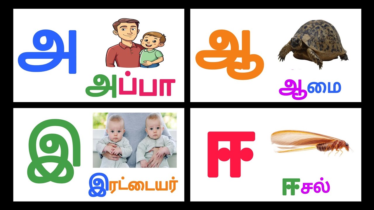 அ ஆ இ ஈ எழுத்தில் தொடங்கும் சொற்கள் |அ ஆ இ ஈ அரிச்சுவடி | @KTSKIDSLEARNING 