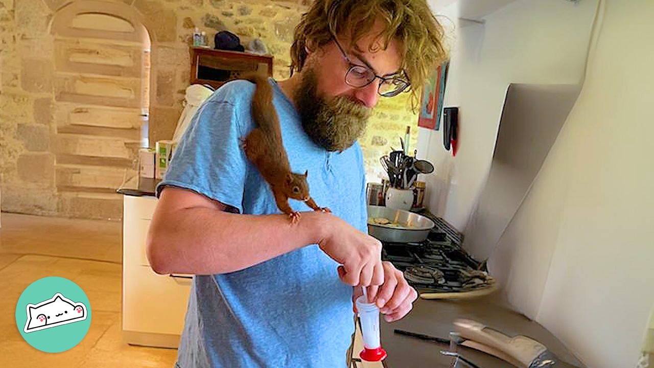 Man Becomes A Mom To Rescue Baby Squirrel | Cuddle Buddies