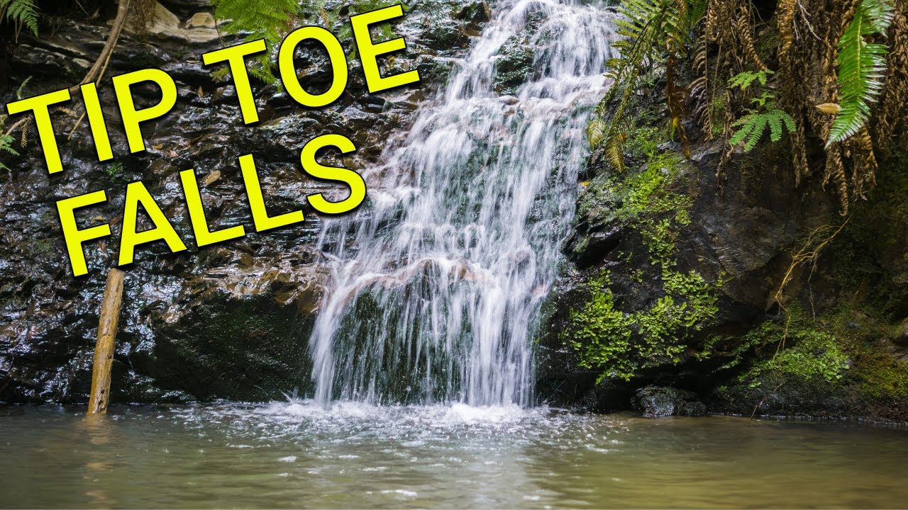 Hiking Tiptoe Falls Portola Redwoods State Park