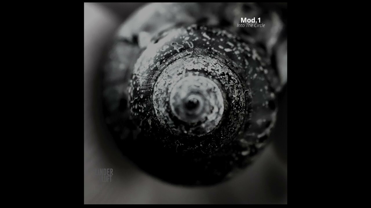 Indefinite Pitch PREMIERES. Mod.1 - Into The Circle [Linderluft Records]