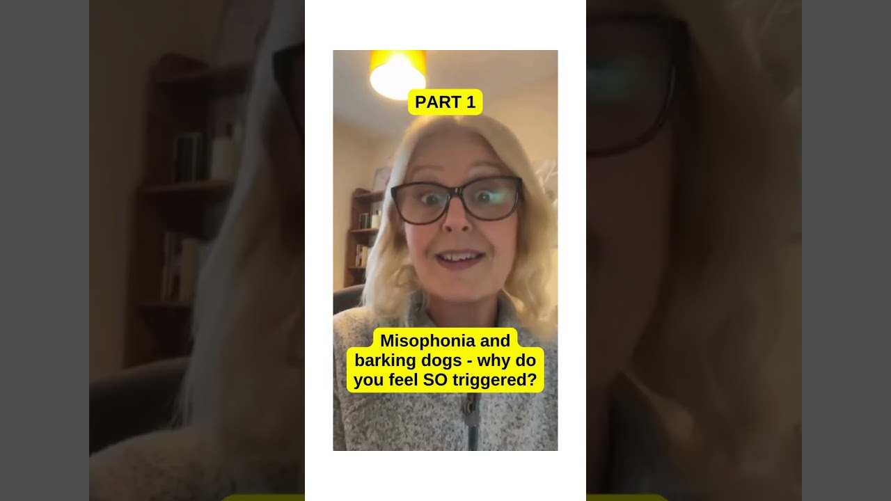 Misophonia and barking dogs - a HUGE trigger!