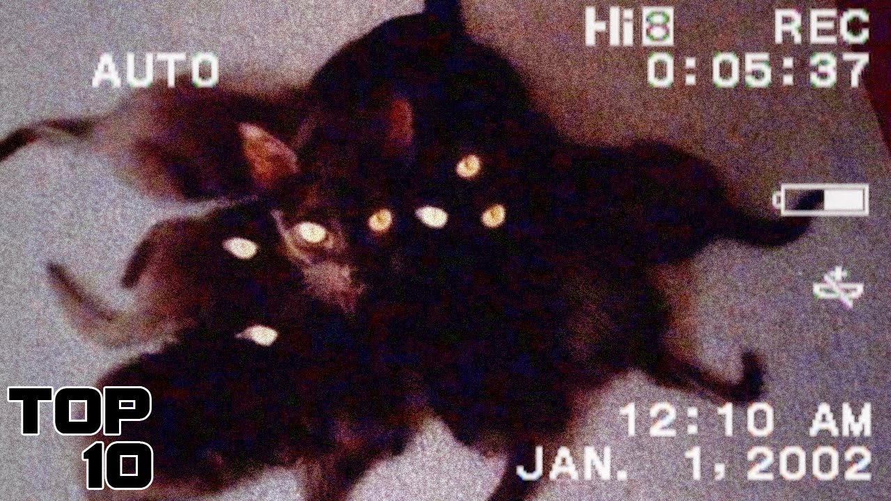 Top 10 Cursed Videos That CAN’T Be Explained - Part 4