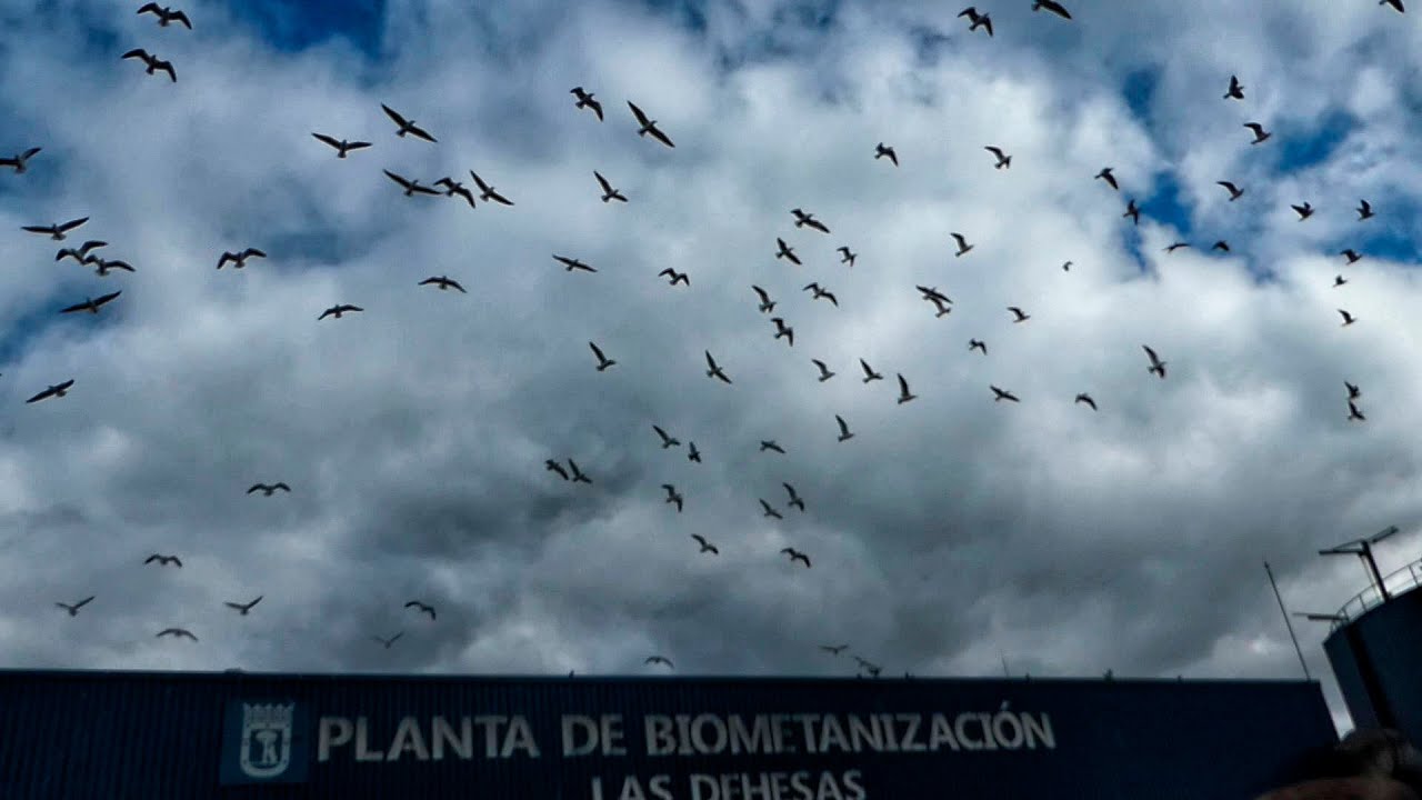 Valdemingómez a buen ritmo.