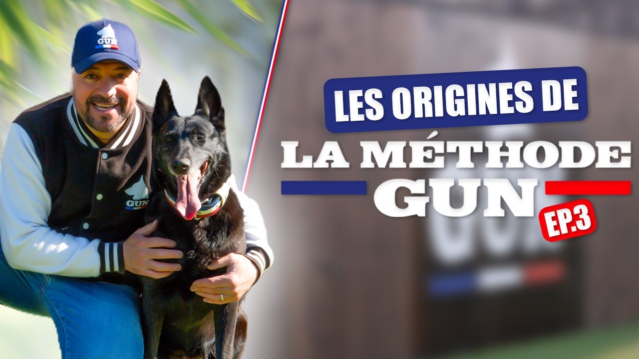 MALINOIS, CHIEN EN OR : L’AMOUR INCONDITIONNEL