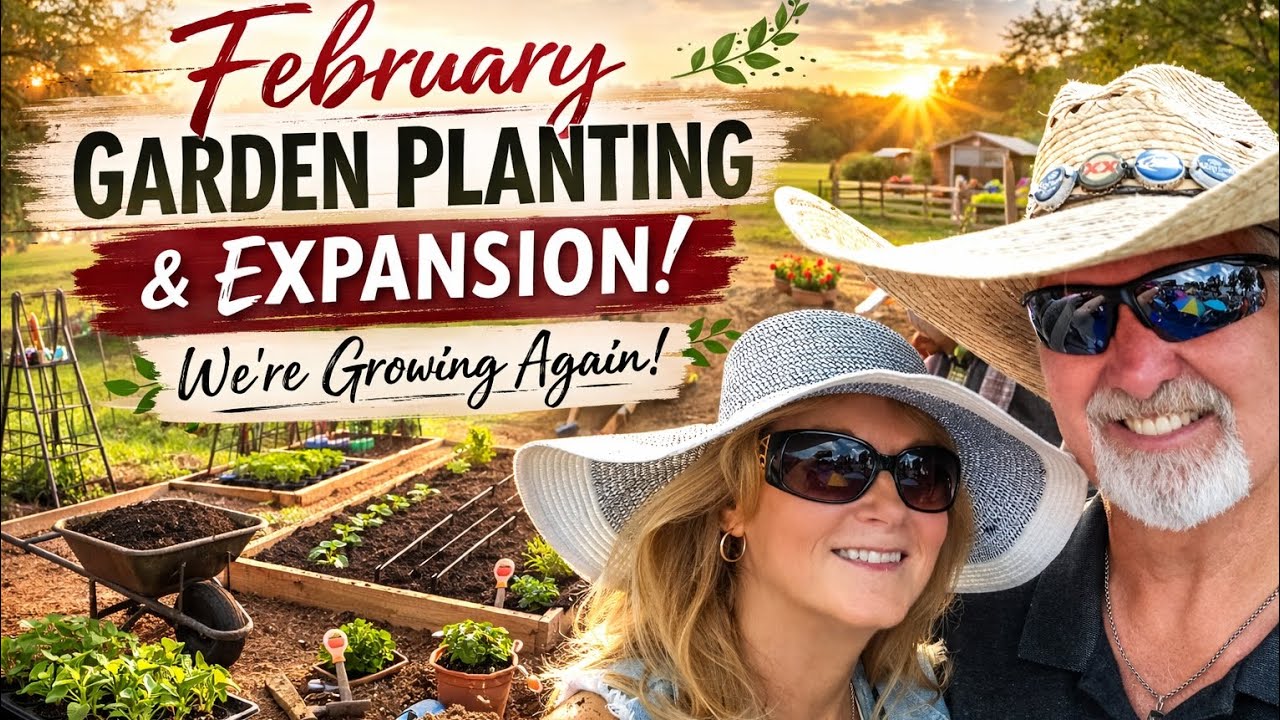 👉 Planting in February? Here’s What We’re Doing! | Garden Expansion” Compilation of Videos