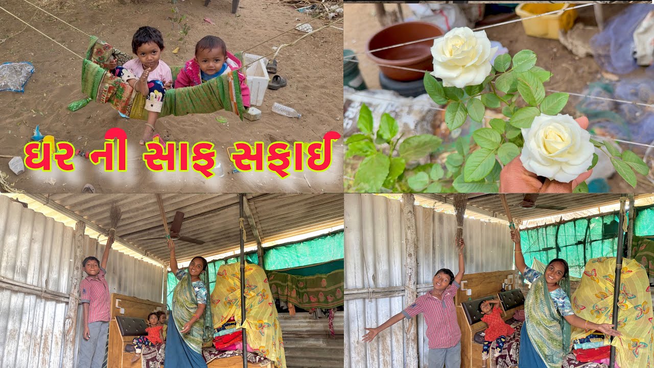 સાફ સફાઈ કરી ને કાજલ ના ભુકા નીકળી ગયા 🙃 Mast rose 🌹 dhanji ni moj