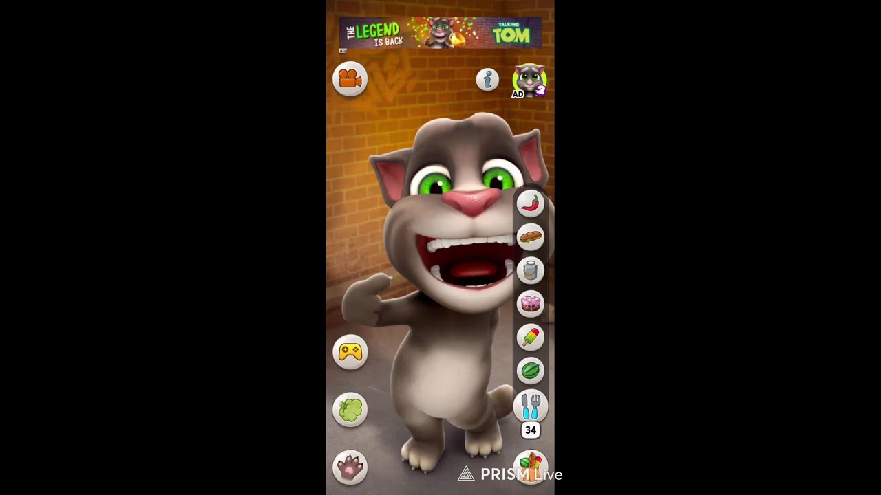 my talking Tom game