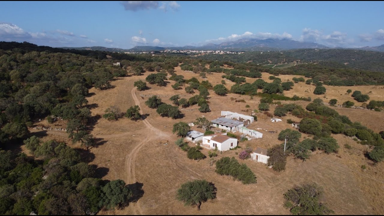 Cottage For Sale Sardinia Ref Cuncosu