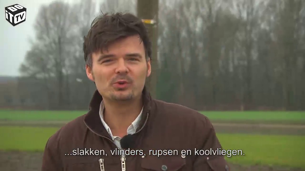 Mijn tuin: alles over kolen