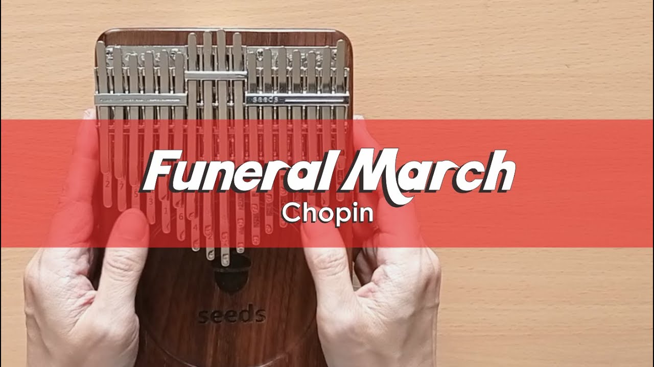 Funeral March (Chopin) | Seeds 34 Keys Chromatic Kalimba Cover With Number & Letter Notations
