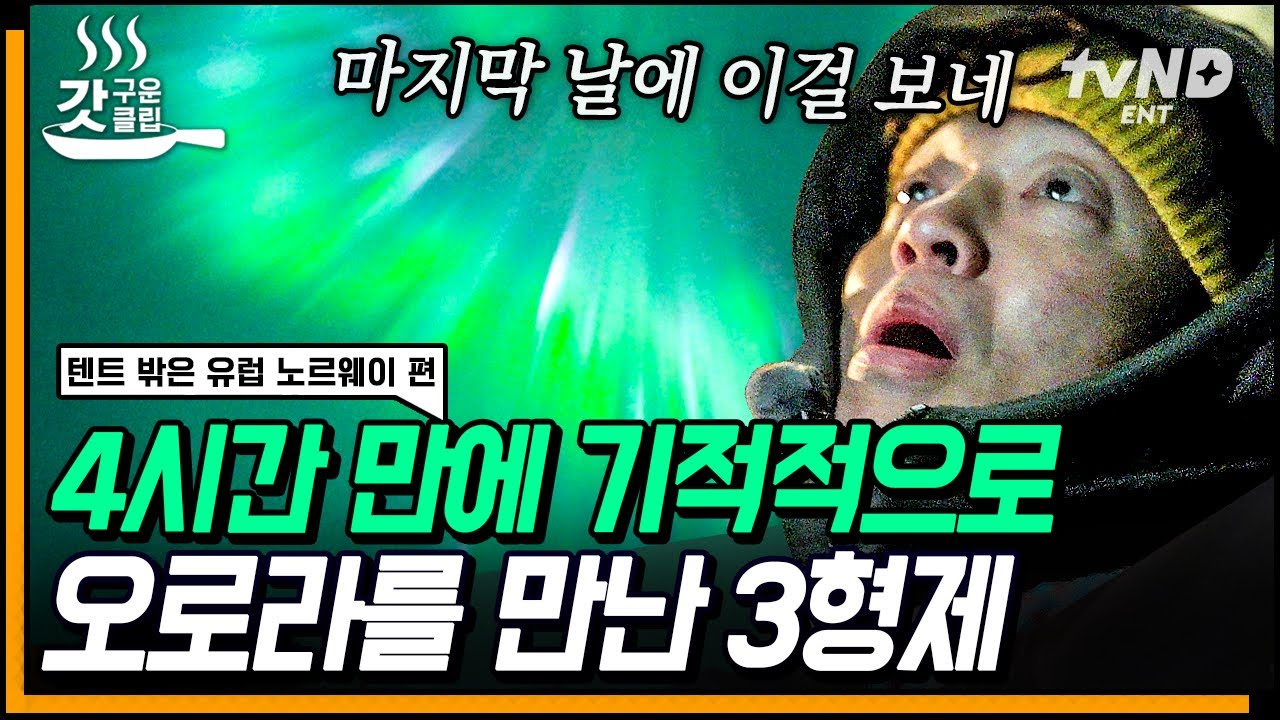 [#텐트밖은유럽노르웨이편] 노르웨이에서 오로라 헌팅 성공하는 방법;; 오디오에 환성과 환호 소리만 가득한 오로라에 압도된 사람들 ㄷㄷ ㅣ#갓구운클립