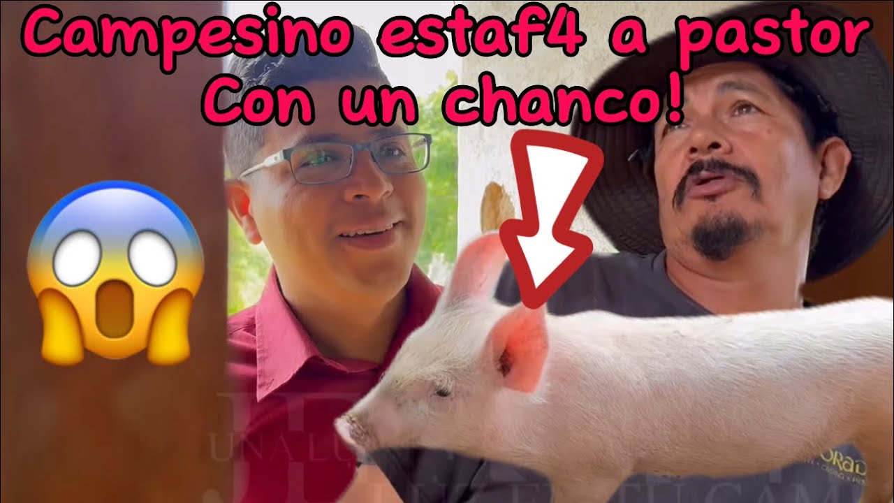 Campesino le hizo fraude a pastor con un chancho!😱