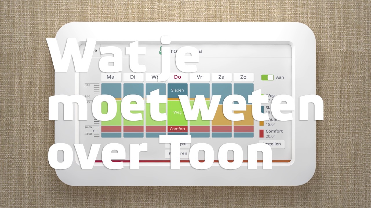 Instellen thermostaat programma Toon