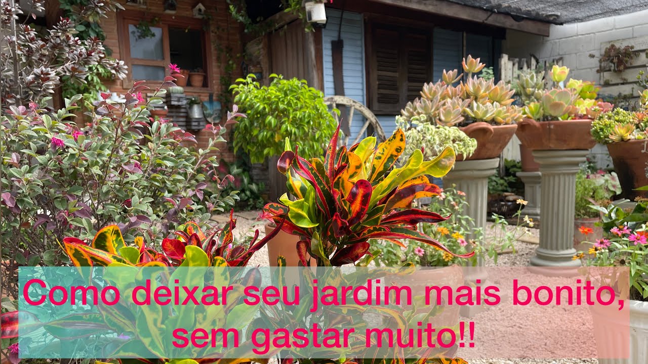 Como transformar o visual do seu jardim com plantas simples!!
