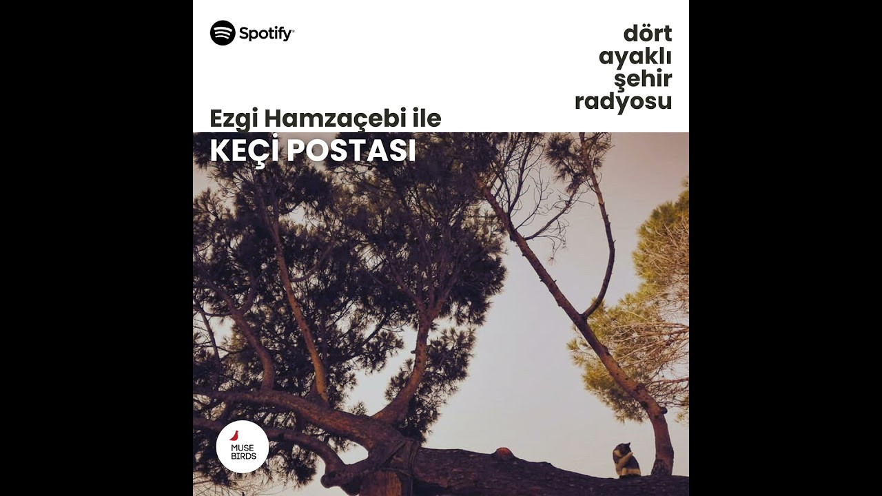 Keçi Postası - Ezgi Hamzaçebi | Hayvan/Yaşam ve Canavarların Vaatleri