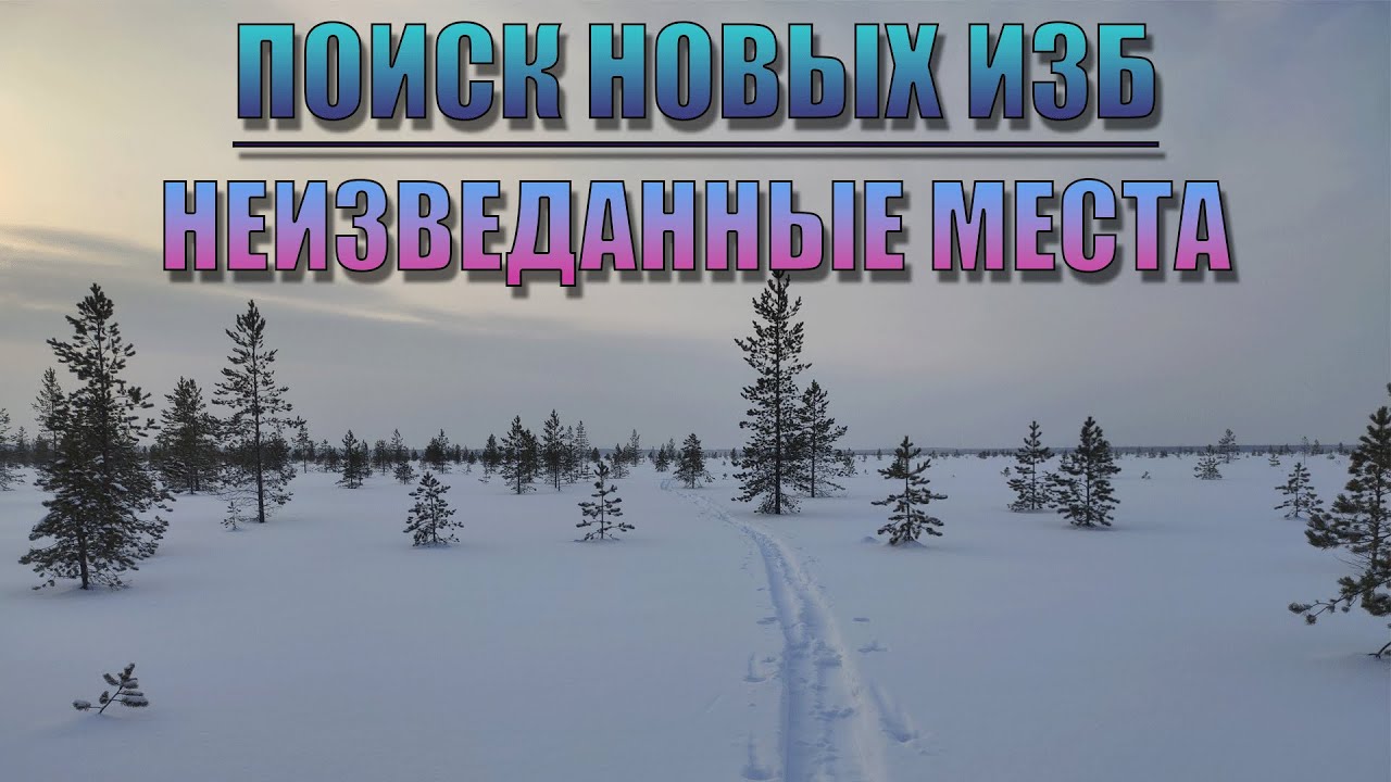 Нашли 4 НОВЫЕ ИЗБЫ за 3 ДНЯ/Неизведанные места тайги. 1.02.22-3.02.22 #arkhangelsk