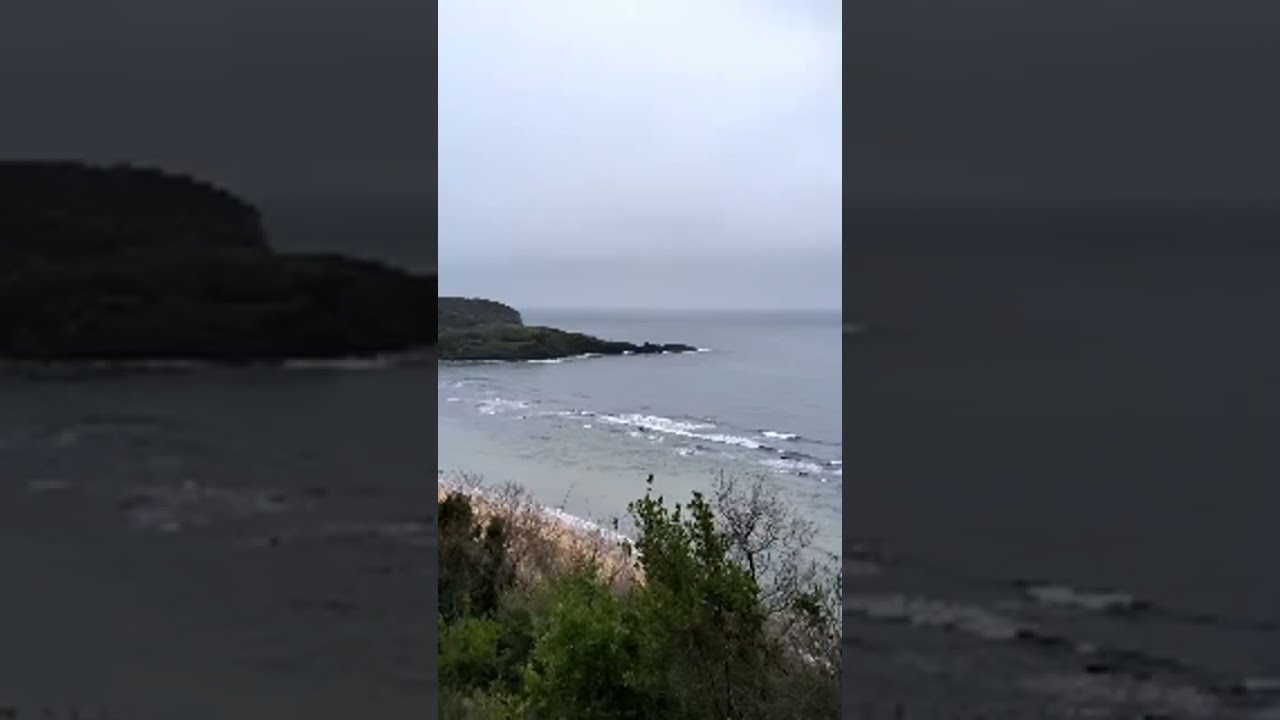 Özcan Avunyalı kanalı canlı yayında Riva