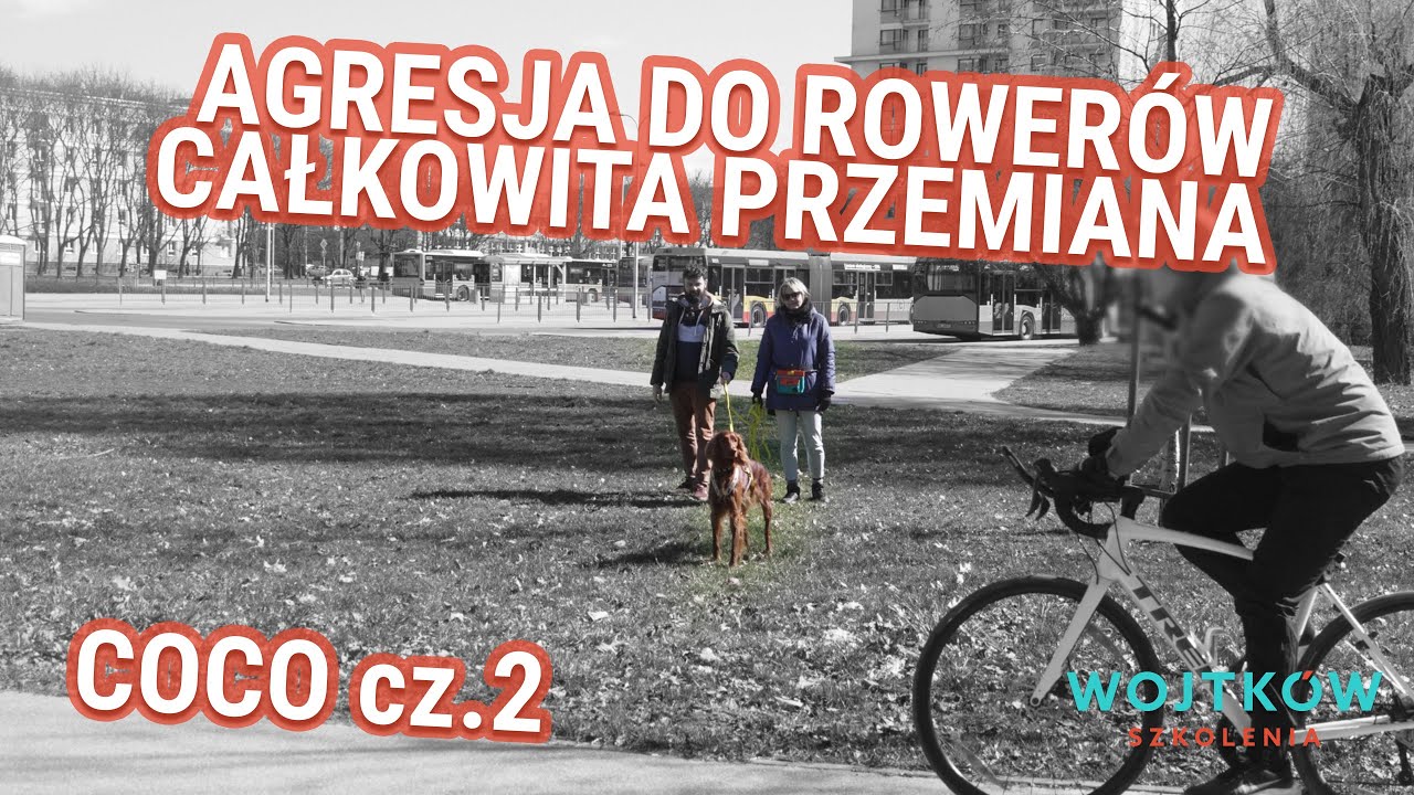 Psa można oduczyć pogoni za rowerem! 🚴‍♂️🐕 Mój Pies Się Rzuca - Coco odc. 2