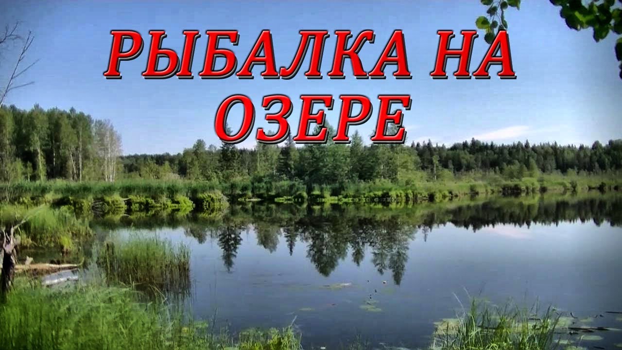 Рыбалка на озере #123