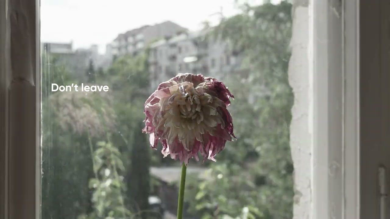 Don't leave By Nika chiqovani & Ketevan kuzanovi