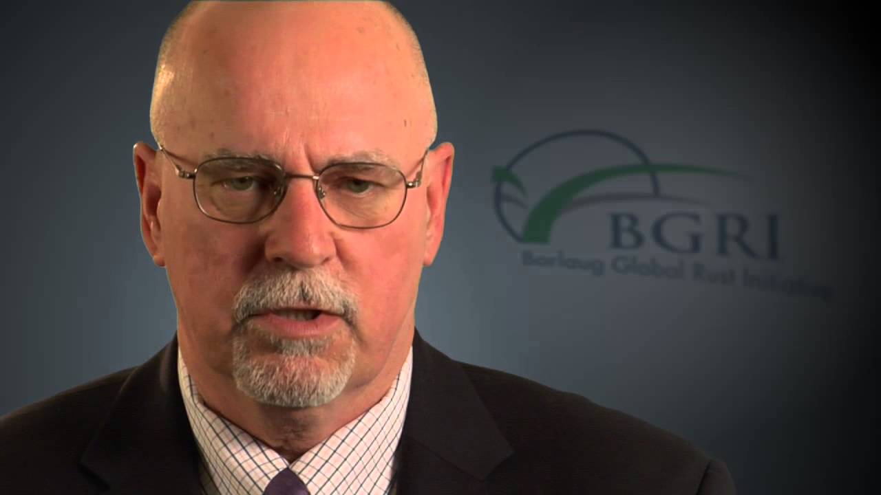 BGRI Exclusive: Ronnie Coffman on Durable Rust Resistance and Agricultural Research Partnerships