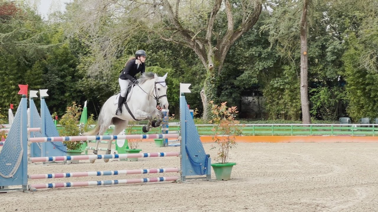 Naz.A Le Siepi Cervia 30/03/2024 C115 a Fasi consecutive 4 penalità