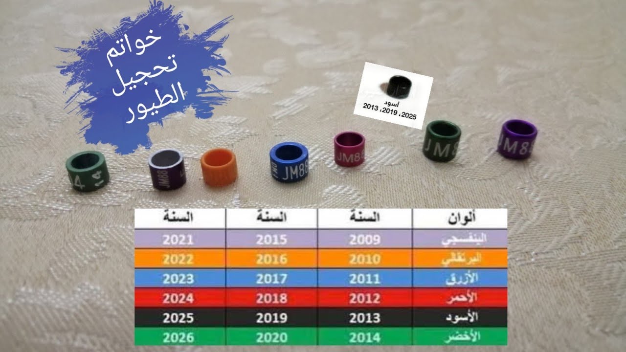 أنواع و ألوان خواتم التحجيل