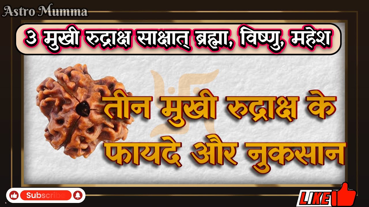 3 Mukhi Rudraksh | ये राशी वाले भूलकर भी न पहने | #3mukhi #rudraksha #shiv | #maa #durga