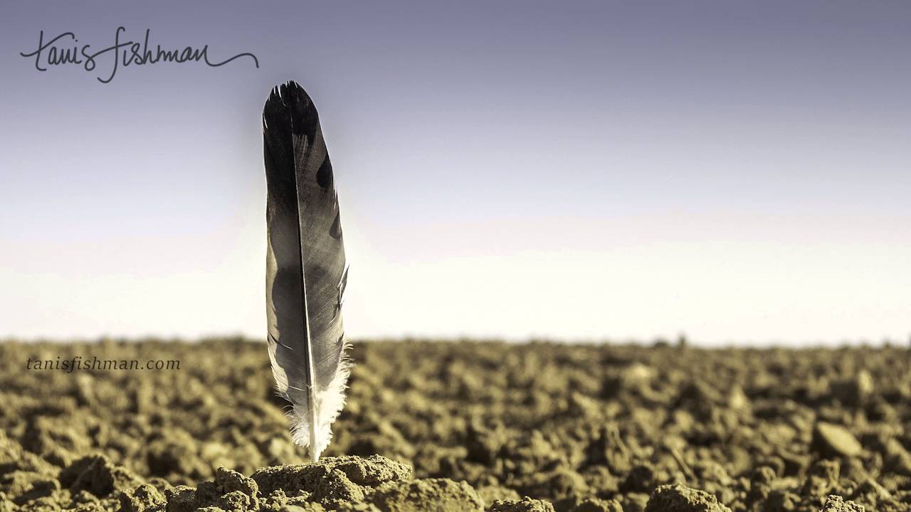 Yoga nidra -  The Feather