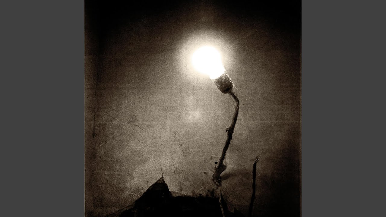 The Moss Upon Our Ruins