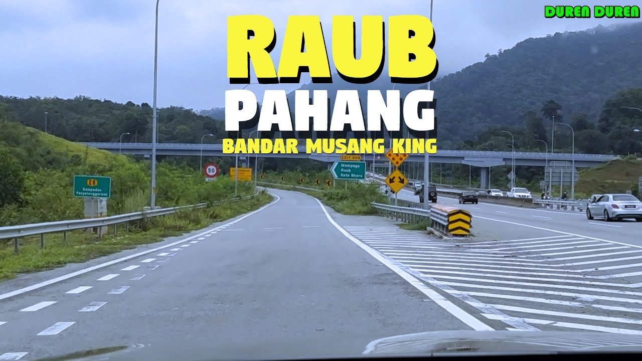 RAUB BANDAR MUSANG KING (RAUB BAG 1)