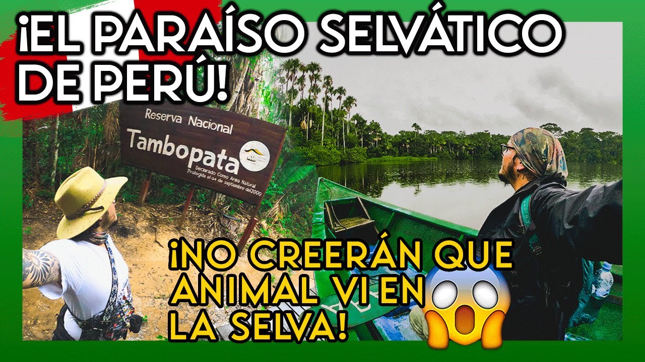 Madre De Dios y LAGO SANDOVAL, PARAÍSO SELVATICO de PERU | PUERTO MALDONADO