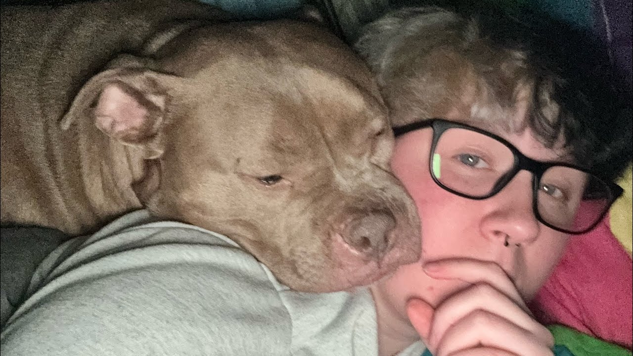 Recovering from Jpouch surgery with dogs 