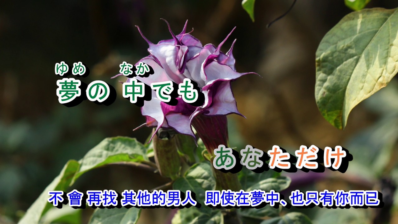 02-096   女のきもち ** 女人的心情  音圓 41034/2527　金嗓 40415
