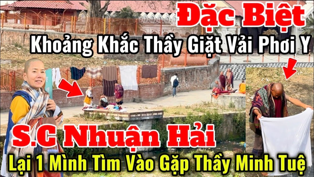Sư Cô Nhuận Hải Lại Tìm Vào Gặp Các Thầy | Bắt Gặp Khoảng Khắc Thầy Minh Tuệ Giặt Vải Giữa Trưa Nắng