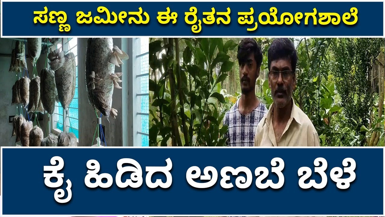 ರೈತನ ಪ್ರಯೋಗಶಾಲೆ ಕೈ ಹಿಡಿದ ಅಣಬೆ ಬೆಳೆ | farmer's laboratory helps mushroom crop | Vijay Karnataka |