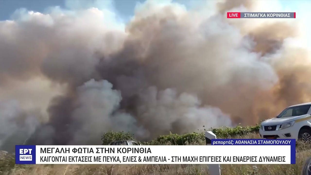 Μεγάλη φωτιά στην Κορινθία: Καίγονται εκτάσεις με πεύκα, ελιές και αμπέλια | 11/07/2024 | ΕΡΤ