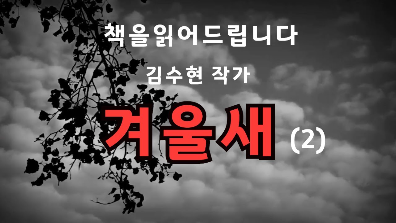 [장편소설오디오북] 겨울새(2) / 김수현작가 / 영은의 남편은 사기결혼을 당했다며, 영은을 집에서 나가라고 한다. 시어머니는 마치 아무것도 모르는것처럼 ..