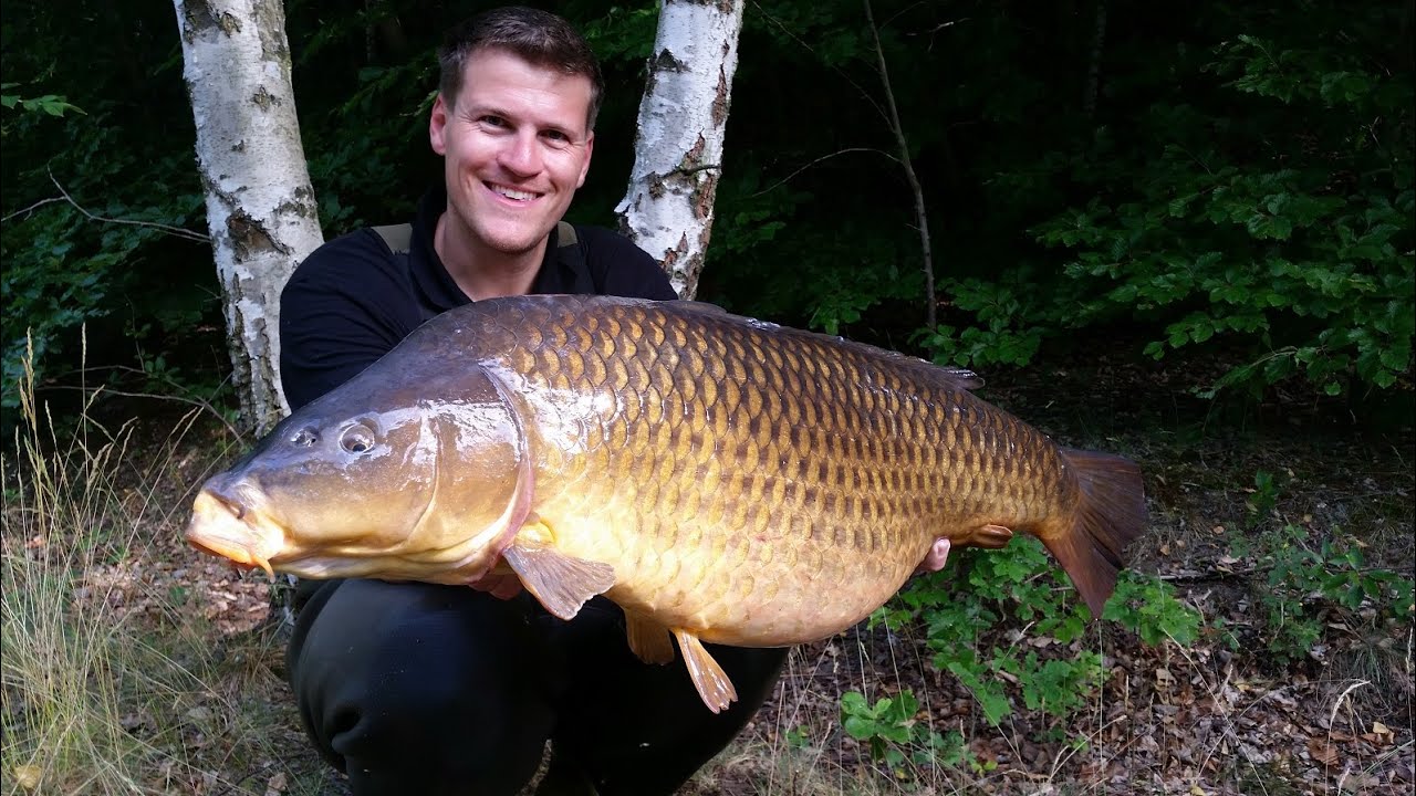 All Cheese - Carp fishing with boilies and cheese