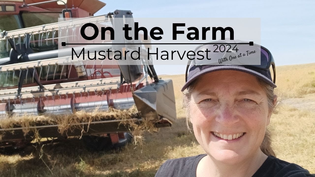 On the Farm - Mustard Harvest 2024