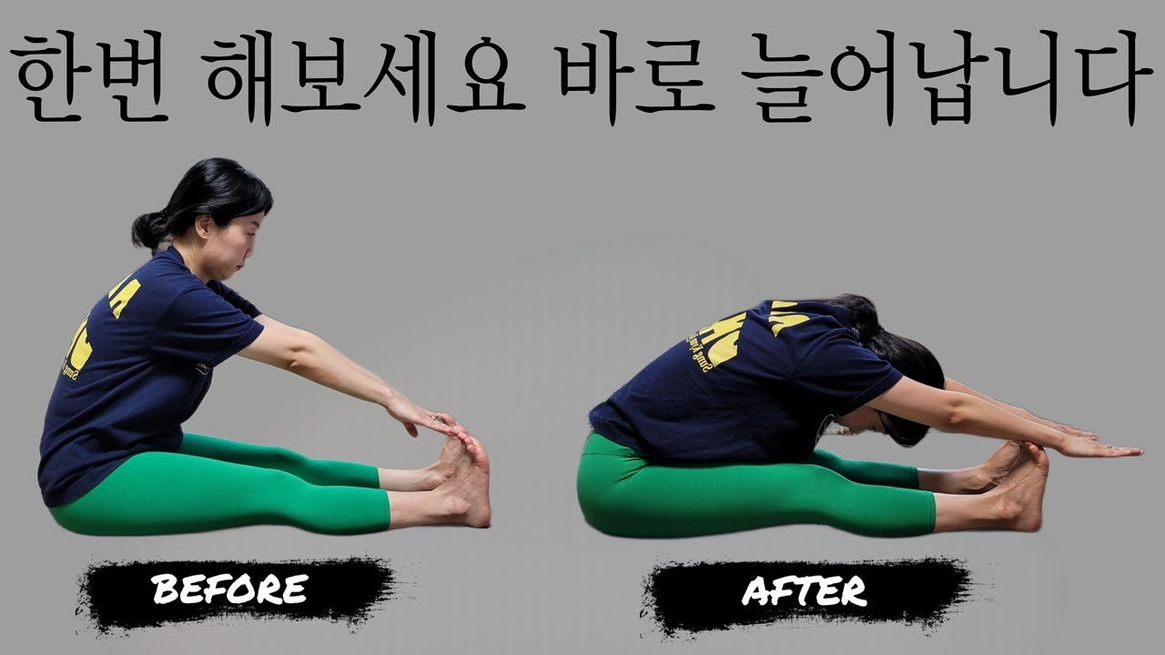 좌전굴, L자앉기, 햄스트링 쭉쭉 늘어나요 놀라울 정도로 달라집니다