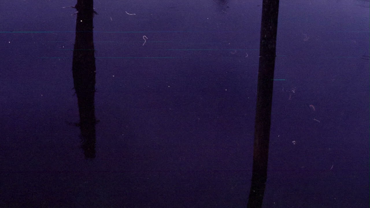 Rain at the Beach (Reworked)
